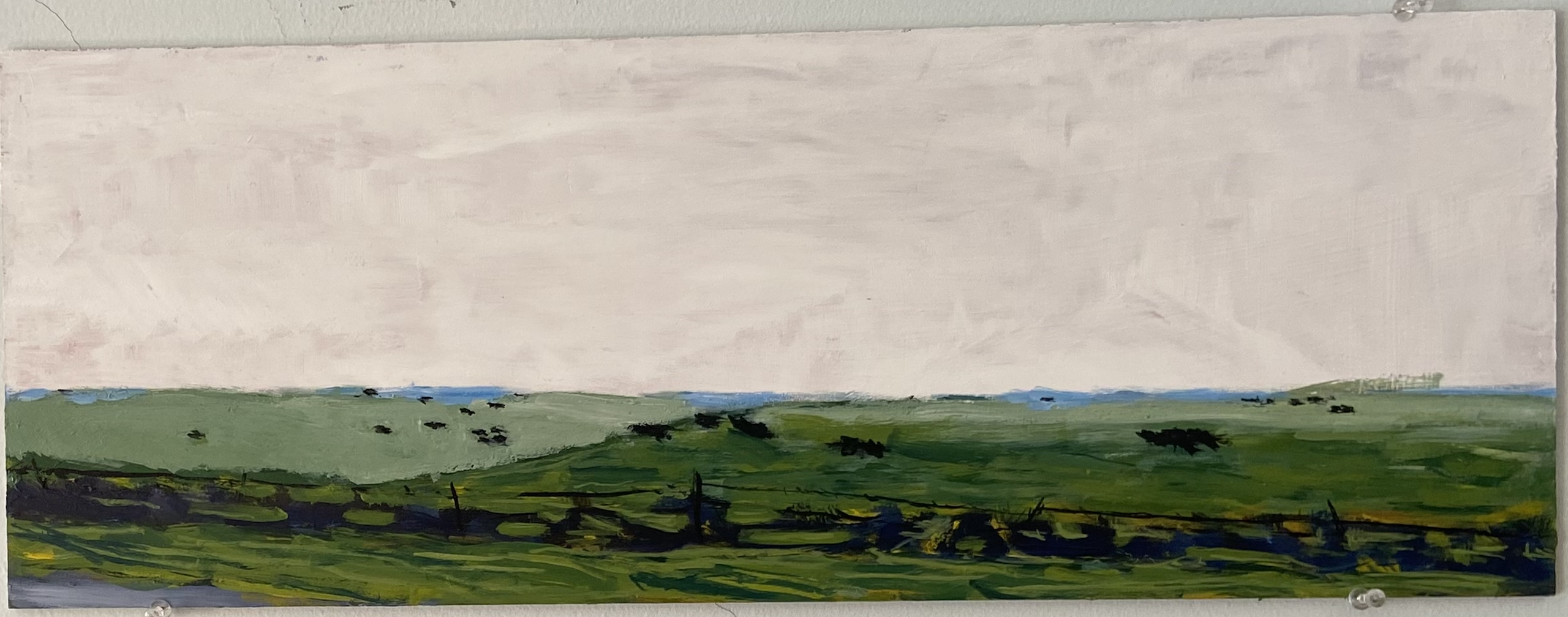 pastures